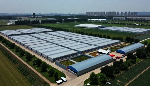 流程再造方案应用体验全面介绍