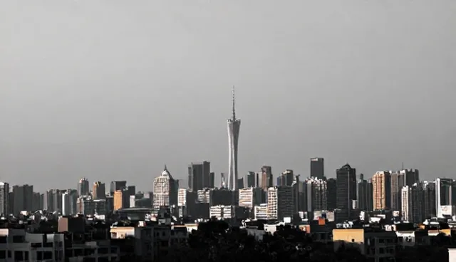 会务服务实践中的应用与维护建议